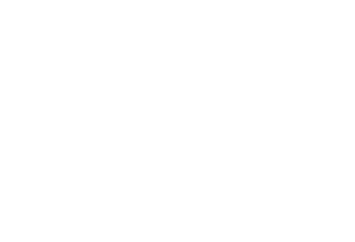 MomTribe flourish